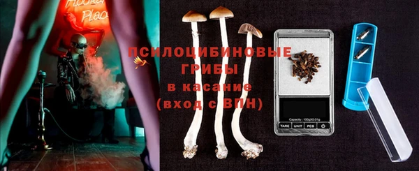 прущие крисы Баксан