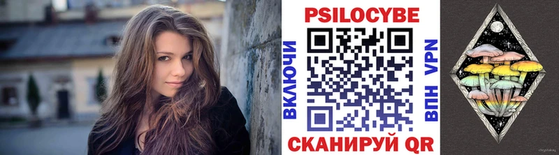 Галлюциногенные грибы Psilocybine cubensis  Купить  Нея 